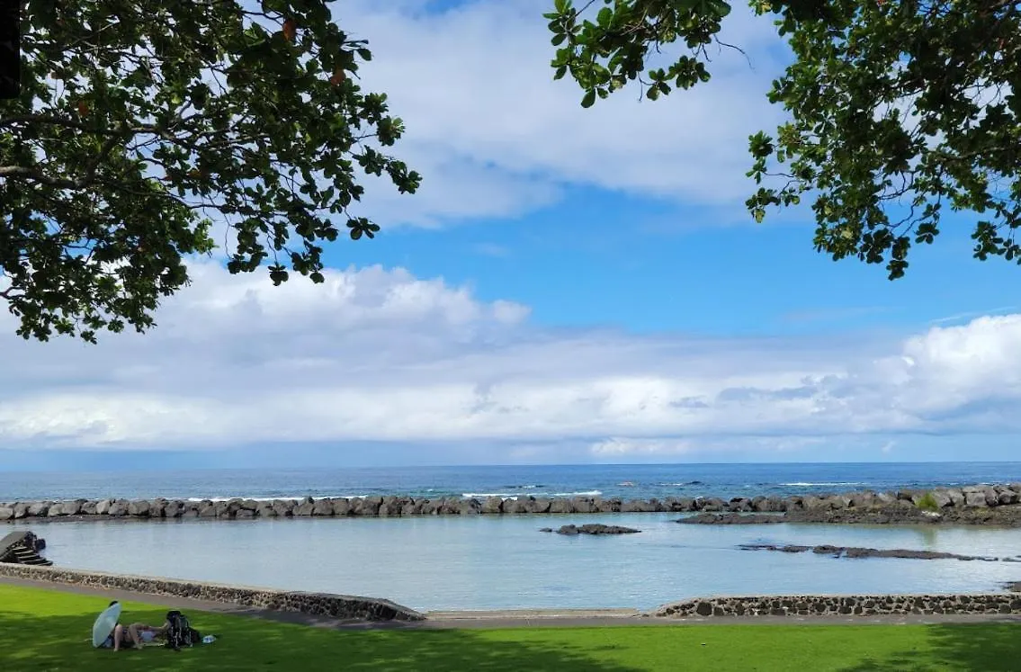 Yonegan Plumeria Hilo Hotel 米国